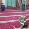 Ruhunu cuma namazinda teslim etti Ruhunu cuma namazinda teslim etti