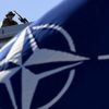 NATO'dan teröristlere "korkak" benzetmesi NATO'dan teröristlere "korkak" benzetmesi