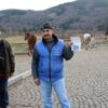 Bolu daki atlara ruam karantinası (3) Bolu daki atlara ruam karantinası (3)
