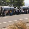 Aydın'da 49 düzensiz göçmen yakalandı Aydın'da 49 düzensiz göçmen yakalandı