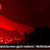 Mide hastalıklarının gizli nedeni: Helikobakter Mide hastalıklarının gizli nedeni: Helikobakter