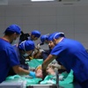 Kadavra sorunu Çin ile çözülecek Kadavra sorunu Çin ile çözülecek