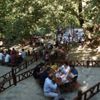 Terör bitti, huzur geldi Terör bitti, huzur geldi