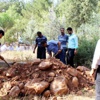 Kuduz şüphesiyle ölen çocuk toprağa verildi