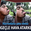 Dilini yengece kaptırdı Dilini yengece kaptırdı