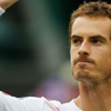 Murray'den 500'üncü galibiyet Murray'den 500'üncü galibiyet