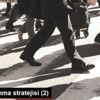 İç borçlanma stratejisi (2)