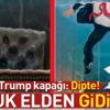 TIME'dan Trump kapağı: Dipte! TIME'dan Trump kapağı: Dipte!