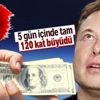 Elon Musk'ın WhatsApp yerine Signal uygulaması tavsiyesi sonrası Signal Advances’ın hisseleri 120 kat büyüdü