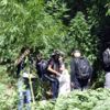 Diyarbakır’da dev kenevirler polisi şaşırttı Diyarbakır’da dev kenevirler polisi şaşırttı
