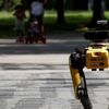 Robot köpek göreve başlıyor Robot köpek göreve başlıyor