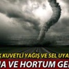 İtfaiyeden papağan yakalama operasyonu İtfaiyeden papağan yakalama operasyonu