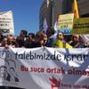Almanya'dan 'Barış Akademisyenleri' için çağrı
