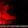 Hayat kurtarmak için canla başla çalışıyorlar Hayat kurtarmak için canla başla çalışıyorlar