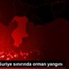 Hatay ın Suriye sınırında orman yangını