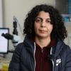 Taşıyıcı anne balıklar geliyor Taşıyıcı anne balıklar geliyor