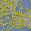DHMİ havayolu trafiği rakamlarını açıkladı
