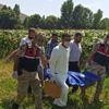 Kayıptı, ayçiçeği tarlasında ölü bulundu Kayıptı, ayçiçeği tarlasında ölü bulundu