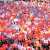 Son dakika: AK Parti'den 12 soruluk anket! Sonuçlar açıklandı... Son dakika: AK Parti'den 12 soruluk anket! Sonuçlar açıklandı...