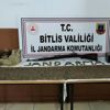 SON DAKİKA: Bitlis'te PKK'ya bir darbe daha: Toprağa gömülü silah ve mühimmatı bulundu