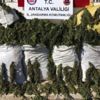 Alanya'da 247 kilo esrar yakalandı