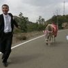 Fotoğrafçılar da korsandan şikayetçi Fotoğrafçılar da korsandan şikayetçi