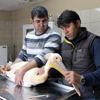 Antalya'da otelin balkonunda yaralı pelikan bulundu Antalya'da otelin balkonunda yaralı pelikan bulundu