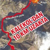 Siste 2 pusulu hain tuzak: 16 şehit