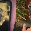 Kullandığı iPhone cebinde patlayınca Apple'a dava açtı Kullandığı iPhone cebinde patlayınca Apple'a dava açtı