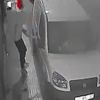 Hırsızın rahatlığı pes dedirtti Hırsızın rahatlığı pes dedirtti