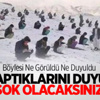 Mehmet Baransu'ya Şok!