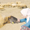 Günlerinin çoğunu hayvanlara ayırıyorlar Günlerinin çoğunu hayvanlara ayırıyorlar
