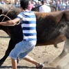 Ankara'da kaçan kurbanlık 4 kişiyi hastanelik etti Ankara'da kaçan kurbanlık 4 kişiyi hastanelik etti