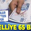 Hibe destek projesinin başvuruları başladı: Engelliye 65 bin TL