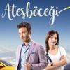 Ateşböceği dizisi final yapıyor Ateşböceği dizisi final yapıyor