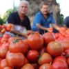 Rusya, Türkiye'den domates ithalatını artırıyor Rusya, Türkiye'den domates ithalatını artırıyor