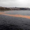 Marmara'da deniz renk değiştirdi! Uzmanlardan açıklama
