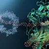 Araştırmacılar plastik yiyen bir bakteri keşfetti Araştırmacılar plastik yiyen bir bakteri keşfetti