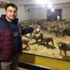 Almak için 6 ay önceden sıraya girip kapora yatırmak gerek! Almak için 6 ay önceden sıraya girip kapora yatırmak gerek!