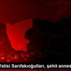 Giresun Valisi Sarıfakıoğulları, şehit annesini ziyaret ...