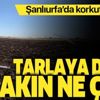 Şanlıurfa'da tarlaya düşen balondan uçaksavar mermisi çıktı Şanlıurfa'da tarlaya düşen balondan uçaksavar mermisi çıktı