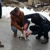 Başı konserve kutusuna sıkışan kediyi kurtardılar Başı konserve kutusuna sıkışan kediyi kurtardılar