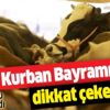 Bilim Kurulu üyesinden Kurban Bayramı öncesi dikkat çeken uyarı