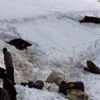Kaçakçılardan Mağdur Edebiyatı Kaçakçılardan Mağdur Edebiyatı