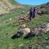 Ağrı’da kaybolan vatandaş ölü bulundu Ağrı’da kaybolan vatandaş ölü bulundu