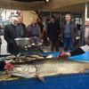 Dev turna balığı ilgi odağı oldu Dev turna balığı ilgi odağı oldu