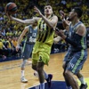 Fenerbahçe, Dörtlü Final için sahada