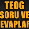 TEOG soruları ve cevap anahtarı (ÖSYM 2014)