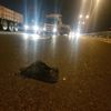 TEM'de feci kaza: Ceset parçalara bölündü TEM'de feci kaza: Ceset parçalara bölündü
