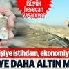 SON DAKİKA: Türkiye'de bir köyde daha altın bulundu! Bölgede büyük heyecan yaşanıyor